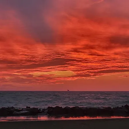 度假居 Dream House 菲乌米奇诺